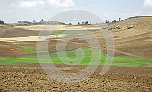 Agriculture area - Ethiopia