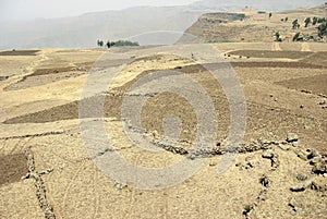 Agriculture area - Ethiopia