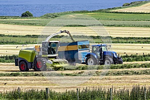 Agriculture - Ballycastle - Northern Ireland