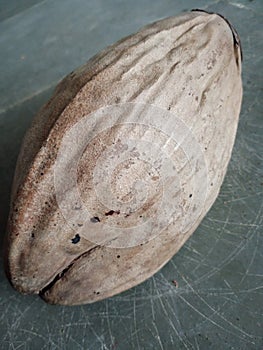 Image of coconut fruit in india