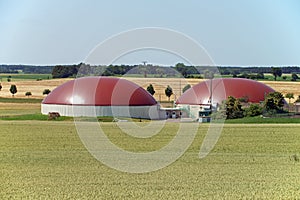 Agriculture photo