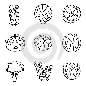 Agriculture cabbage icons set, outline style