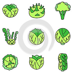 Agriculture cabbage icons set vector color
