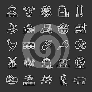Agriculture chalk icons set