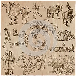 Agriculture, Cheesemaking - hand drawn vector set.