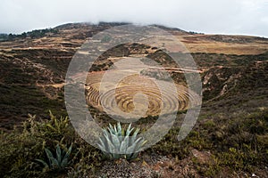 Agriculture circular terraces at Moray Peru