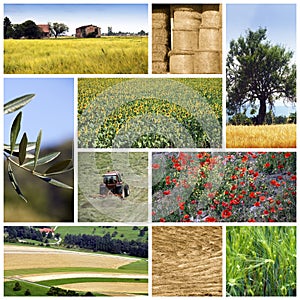 Agriculture collage