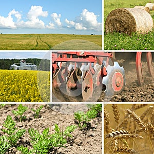 Agriculture collage