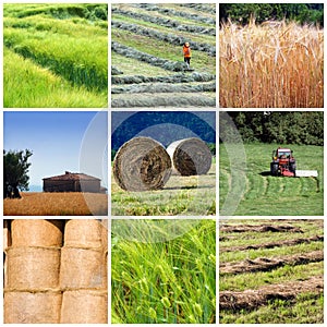 Un bel collage con l'agricoltura motivi trattori, campi, terre, produrre, azienda agricola, fieno.