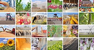 Agriculture in collage