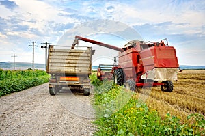 Agriculture. Combine unload the crop