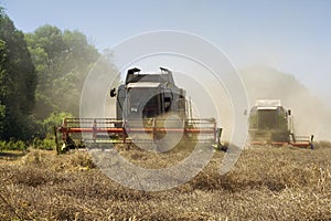 Agriculture - Combines photo
