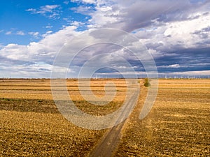 Agriculture concept with paved road in the corn fields with amazing cloudy blue sky