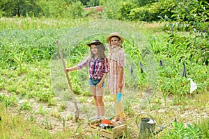 Agriculture concept. Sisters together helping at farm. Planting vegetables. Growing vegetables. Hope for nice harvest