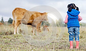 Agriculture, cow and a girl from the back looking at cattle on an agricultural field for sustainability or dairy farming