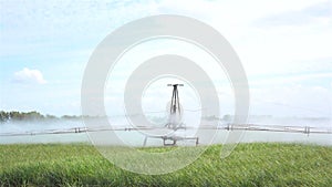 Agriculture crop Irrigation over a wheat field