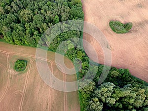 Agriculture cultivated fields and forest in spring, aerial