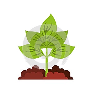 agriculture cultive isolated icon