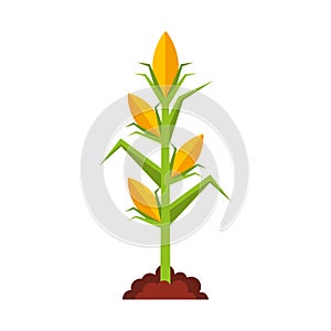 agriculture cultive isolated icon