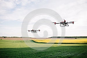 Agriculture drone fly to sprayed fertilizer on the green tea fields,