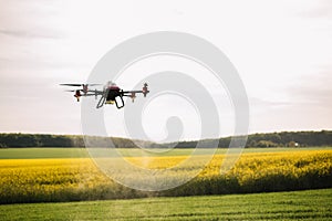 Agriculture drone fly to sprayed fertilizer on the green tea fields, Smart farm .