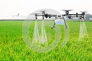Agriculture drone fly to sprayed fertilizer on the rice fields photo