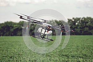 Agriculture drone fly to sprayed fertilizer on the rice fields.