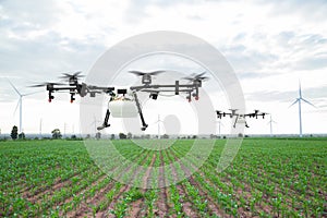 Agriculture drone flying on the green corn field