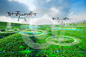 Agriculture drone scanning area to sprayed fertilizer on green tea fields, Technology smart farm 4.0 concept