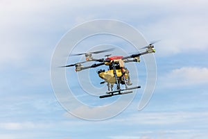 Agriculture drones glide above rice fields spraying fertilizer. Farmers used a drone to spray fertilizer on rice fields.
