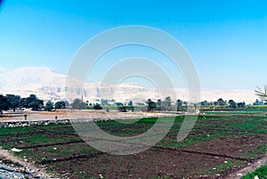 Agriculture in Egypt