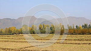 Agriculture empty fields after crops are harvested in the autumn