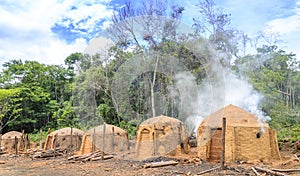 Agriculture .Eucalyptus farm in Minas Gerais , Brazil.