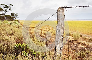 Agriculture Farm Fenceline