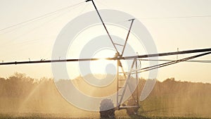 agriculture farm irrigation. green a field wheat irrigation water drops. agriculture business concept. crop field green
