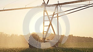 agriculture farm irrigation. green a field wheat irrigation water drops. agriculture business concept. field green field