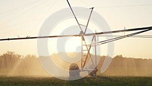 Agriculture farm irrigation. Green a field wheat irrigation water drops. Agriculture business concept. Field green field