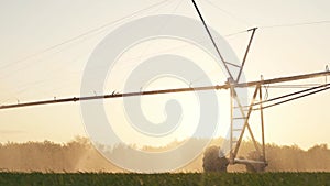 Agriculture farm irrigation. Green a field wheat irrigation water drops. Agriculture crop business concept. Field green