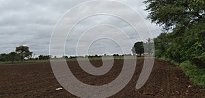 agriculture / farm land and tree rain coulds