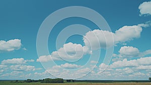 Agriculture Farm. Rural Field Landscape With Young Green Meadow In Spring Or Summer Day.