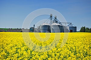 Agriculture farm silo