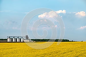 Agriculture farm silo yellow