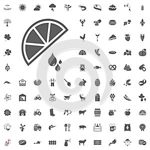 Agriculture and Farm Vector Icons Set