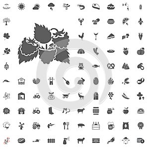 Agriculture and Farm Vector Icons Set