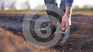 agriculture. farmer hands planting seeds. business a plant agriculture concept. farmer garden hands is planting seeds in