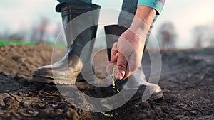 Agriculture. Farmer hands planting seeds. Business plant agriculture concept. Farmer hands is planting seeds in the