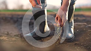 Agriculture. Farmer hands planting seeds. Business a plant agriculture concept. Farmer hands is planting seeds in the