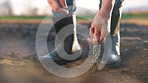 agriculture. farmer hands planting seeds. business a plant agriculture concept. garden farmer hands is planting seeds in