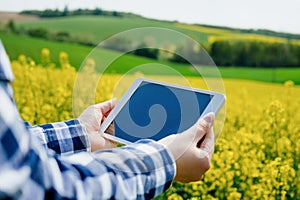 Agriculture Farmer Using Digital Tablet Examining Crops