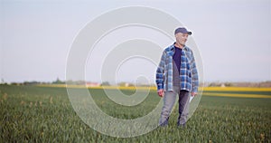 Agriculture Farmer Walking on Agricultural Young Wheat Field Examining Crops.